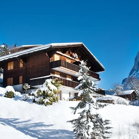 Mom - Alpine Boutique Apartments, Gletscher, Eiger View Terrace Apartment Grindelwald