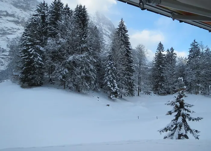 Mom - Alpine Boutique Apartments, Gletscher, Eiger View Terrace Apartment