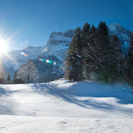 Mom - Alpine Boutique Apartments, Gletscher, Eiger View Terrace *