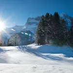 Mom - Alpine Boutique Apartments, Gletscher, Eiger View Terrace *